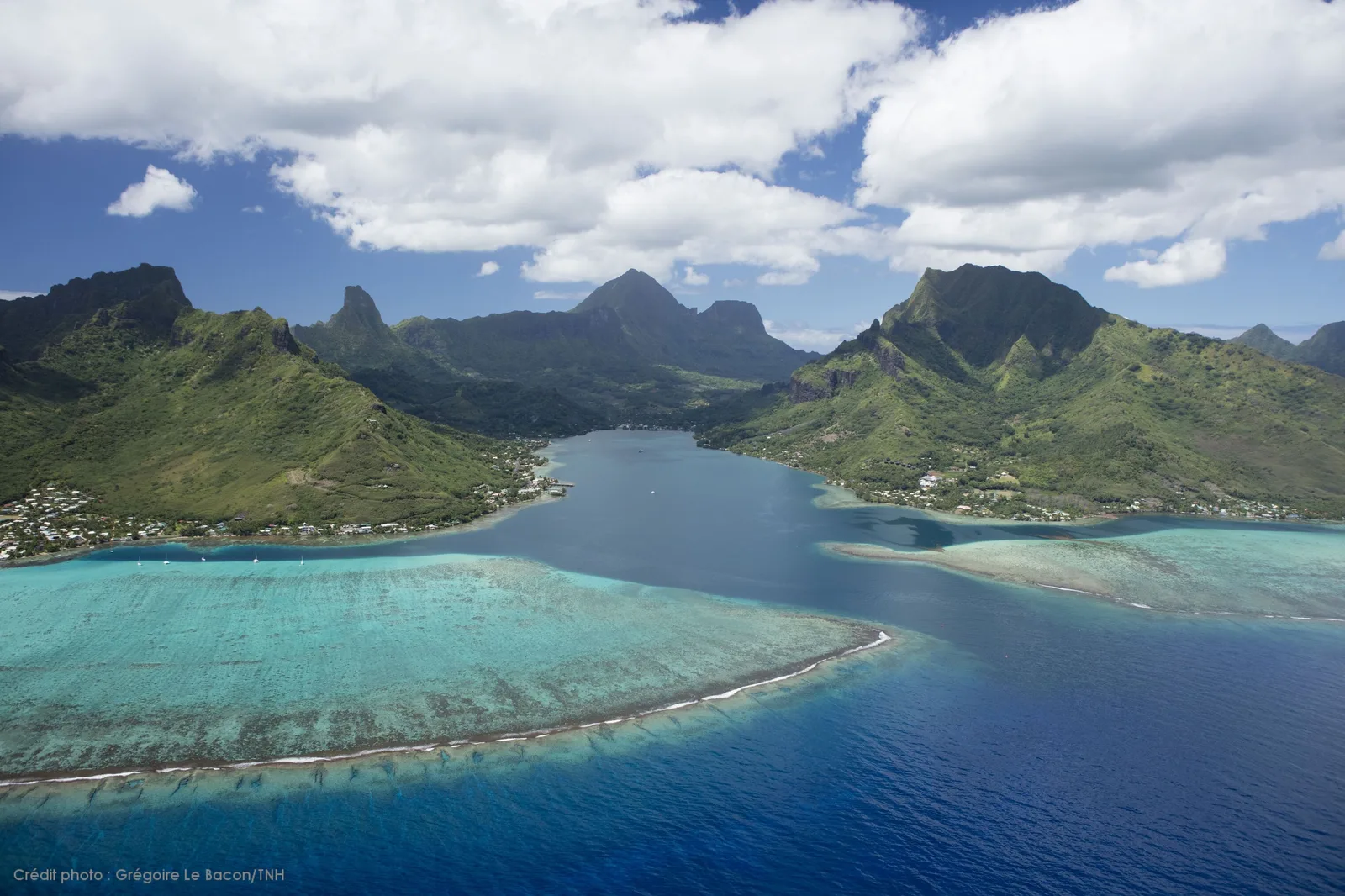 Baie d'Opunohu, Moorea